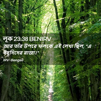 Picture 02 - লূক 23:38 BENIRV - আর তাঁর উপরে ফলকে - Bible Verse Picture