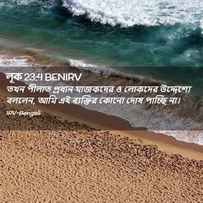 Picture 02 - লূক 23:4 BENIRV - তখন পীলাত প্রধান - Bible Verse Picture