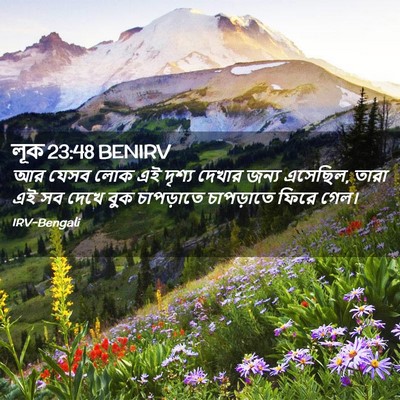 Picture 02 - লূক 23:48 BENIRV - আর যেসব লোক এই - Bible Verse Picture