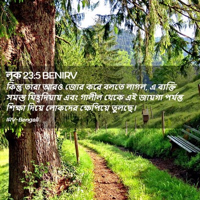 Picture 02 - লূক 23:5 BENIRV - কিন্তু তারা আরও - Bible Verse Picture