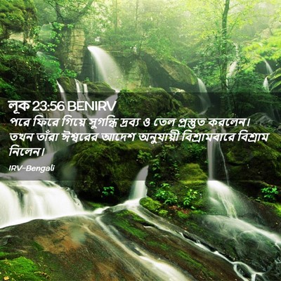 Picture 02 - লূক 23:56 BENIRV - পরে ফিরে গিয়ে - Bible Verse Picture