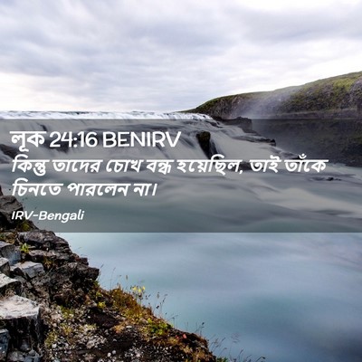 Picture 02 - লূক 24:16 BENIRV - কিন্তু তাদের চোখ - Bible Verse Picture