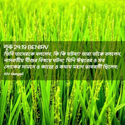 Picture 02 - লূক 24:19 BENIRV - তিনি তাদেরকে - Bible Verse Picture
