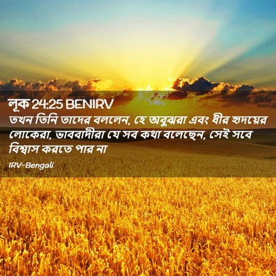 Picture 02 - লূক 24:25 BENIRV - তখন তিনি তাদের - Bible Verse Picture