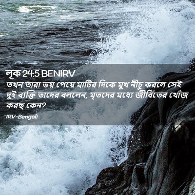 Picture 02 - লূক 24:5 BENIRV - তখন তারা ভয় পেয়ে - Bible Verse Picture