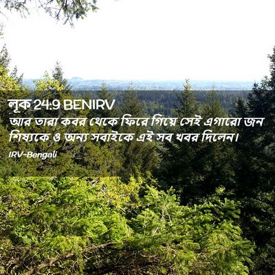 Picture 02 - লূক 24:9 BENIRV - আর তারা কবর থেকে - Bible Verse Picture