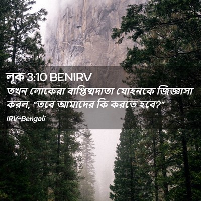 Picture 02 - লূক 3:10 BENIRV - তখন লোকেরা - Bible Verse Picture