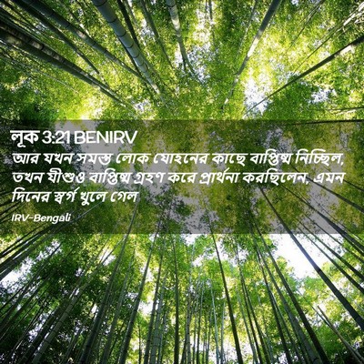 Picture 02 - লূক 3:21 BENIRV - আর যখন সমস্ত লোক - Bible Verse Picture