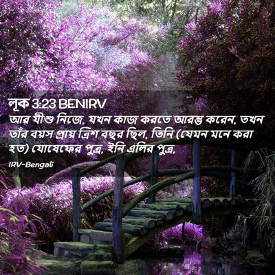 Picture 02 - লূক 3:23 BENIRV - আর যীশু নিজে, যখন - Bible Verse Picture