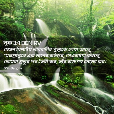 Picture 02 - লূক 3:4 BENIRV - যেমন যিশাইয় - Bible Verse Picture