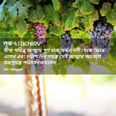 Picture 02 - লূক 4:1 BENIRV - যীশু পবিত্র - Bible Verse Picture