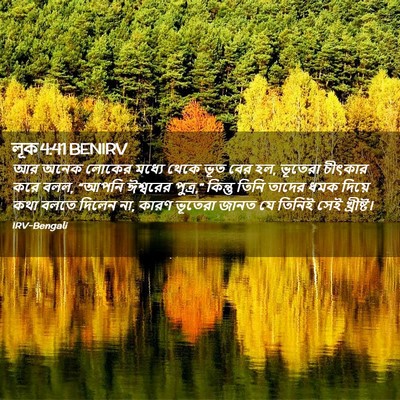 Picture 02 - লূক 4:41 BENIRV - আর অনেক লোকের - Bible Verse Picture