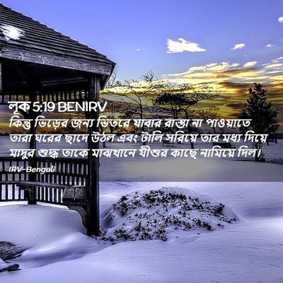 Picture 02 - লূক 5:19 BENIRV - কিন্তু ভিড়ের - Bible Verse Picture