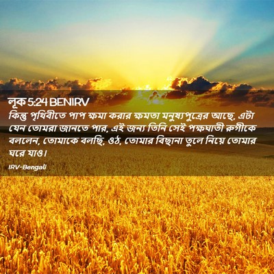 Picture 02 - লূক 5:24 BENIRV - কিন্তু পৃথিবীতে - Bible Verse Picture