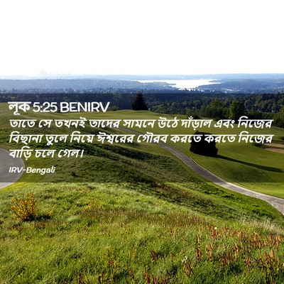 Picture 02 - লূক 5:25 BENIRV - তাতে সে তখনই তাদের - Bible Verse Picture