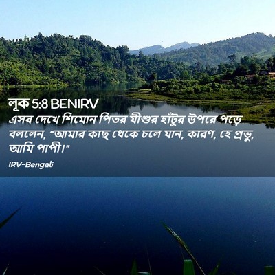 Picture 02 - লূক 5:8 BENIRV - এসব দেখে শিমোন - Bible Verse Picture