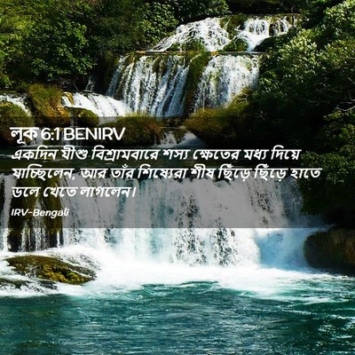 Picture 02 - লূক 6:1 BENIRV - একদিন যীশু - Bible Verse Picture