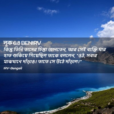 Picture 02 - লূক 6:8 BENIRV - কিন্তু তিনি তাদের - Bible Verse Picture