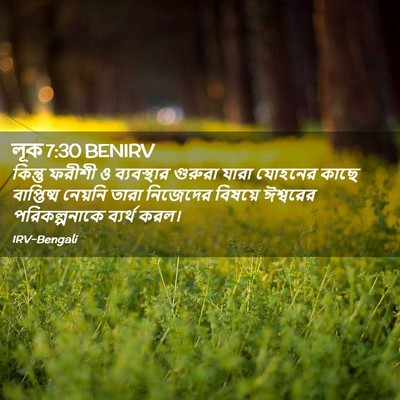 Picture 02 - লূক 7:30 BENIRV - কিন্তু ফরীশী ও - Bible Verse Picture