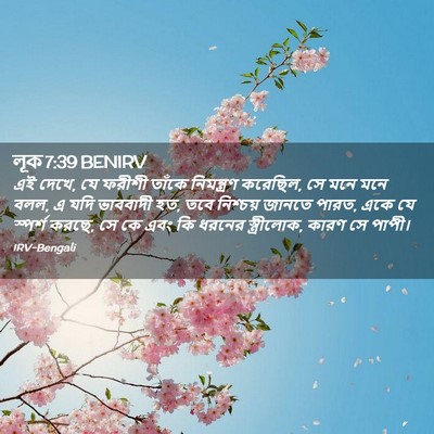 Picture 02 - লূক 7:39 BENIRV - এই দেখে, যে ফরীশী - Bible Verse Picture