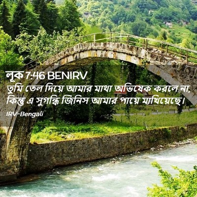 Picture 02 - লূক 7:46 BENIRV - তুমি তেল দিয়ে - Bible Verse Picture