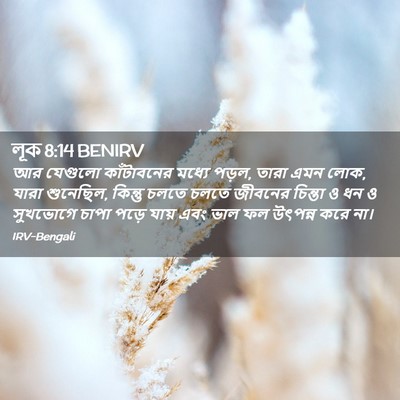 Picture 02 - লূক 8:14 BENIRV - আর যেগুলো - Bible Verse Picture