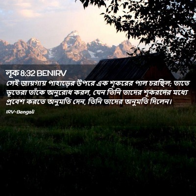 Picture 02 - লূক 8:32 BENIRV - সেই জায়গায় - Bible Verse Picture