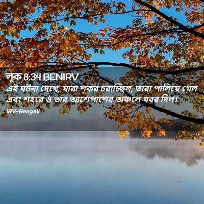 Picture 02 - লূক 8:34 BENIRV - এই ঘটনা দেখে, যারা - Bible Verse Picture