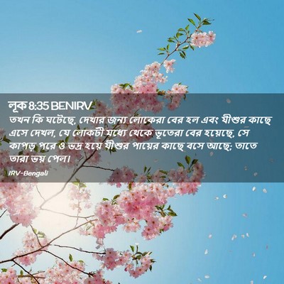 Picture 02 - লূক 8:35 BENIRV - তখন কি ঘটেছে, দেখার - Bible Verse Picture