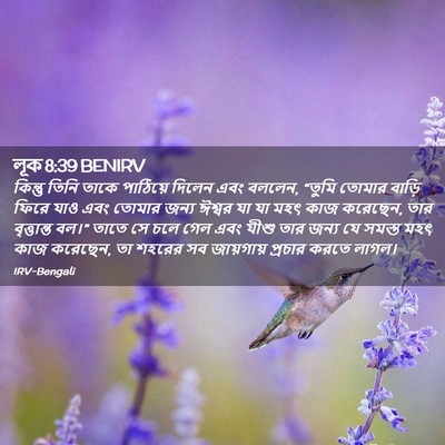 Picture 02 - লূক 8:39 BENIRV - কিন্তু তিনি তাকে - Bible Verse Picture