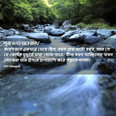 Picture 02 - লূক 8:42 BENIRV - কারণ তার একমাত্র - Bible Verse Picture