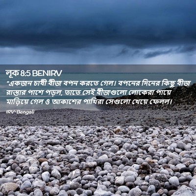 Picture 02 - লূক 8:5 BENIRV - “একজন চাষী বীজ বপন - Bible Verse Picture