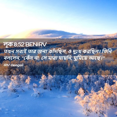 Picture 02 - লূক 8:52 BENIRV - তখন সবাই তার জন্য - Bible Verse Picture