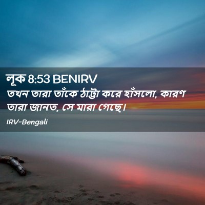 Picture 02 - লূক 8:53 BENIRV - তখন তারা তাঁকে - Bible Verse Picture