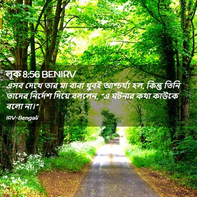 Picture 02 - লূক 8:56 BENIRV - এসব দেখে তার মা - Bible Verse Picture