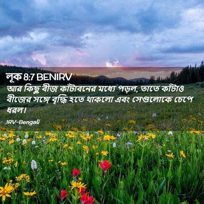 Picture 02 - লূক 8:7 BENIRV - আর কিছু বীজ - Bible Verse Picture