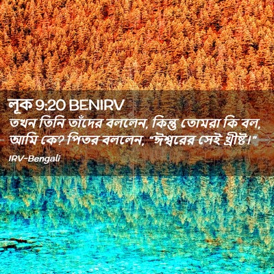 Picture 02 - লূক 9:20 BENIRV - তখন তিনি তাঁদের - Bible Verse Picture