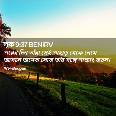 Picture 02 - লূক 9:37 BENIRV - পরের দিন তাঁরা সেই - Bible Verse Picture