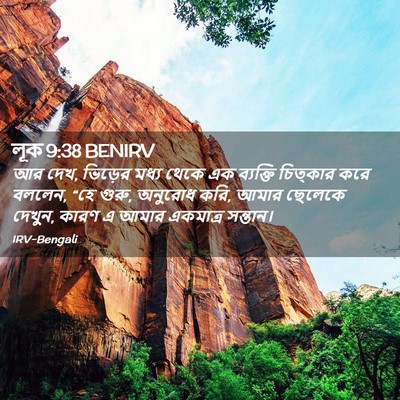Picture 02 - লূক 9:38 BENIRV - আর দেখ, ভিড়ের মধ্য - Bible Verse Picture