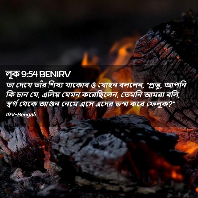Picture 02 - লূক 9:54 BENIRV - তা দেখে তাঁর শিষ্য - Bible Verse Picture