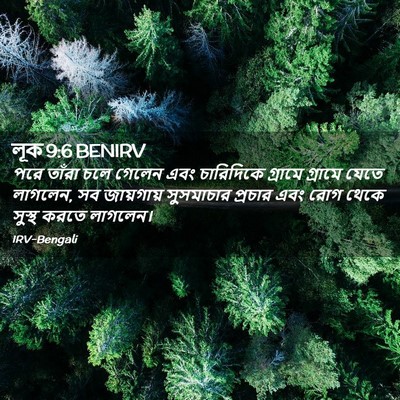 Picture 02 - লূক 9:6 BENIRV - পরে তাঁরা চলে - Bible Verse Picture