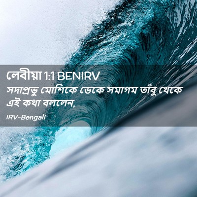 Picture 02 - লেবীয়া 1:1 BENIRV - সদাপ্রভু মোশিকে - Bible Verse Picture