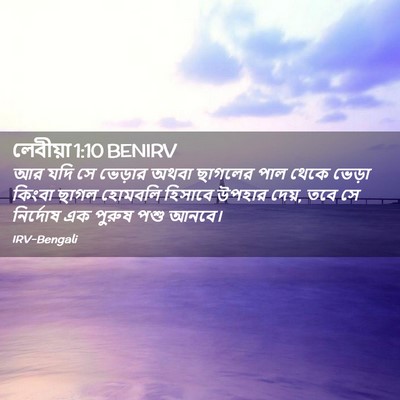 Picture 02 - লেবীয়া 1:10 BENIRV - আর যদি সে ভেড়ার - Bible Verse Picture