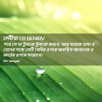 Picture 02 - লেবীয়া 1:12 BENIRV - পরে সে তা টুকরো - Bible Verse Picture
