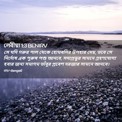 Picture 02 - লেবীয়া 1:3 BENIRV - সে যদি গরুর পাল - Bible Verse Picture