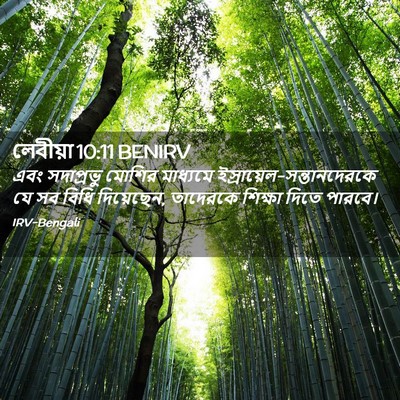 Picture 02 - লেবীয়া 10:11 BENIRV - এবং সদাপ্রভু - Bible Verse Picture