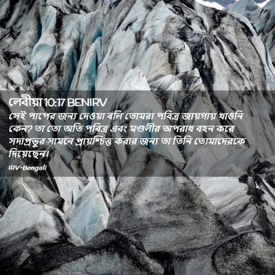 Picture 02 - লেবীয়া 10:17 BENIRV - সেই পাপের জন্য - Bible Verse Picture