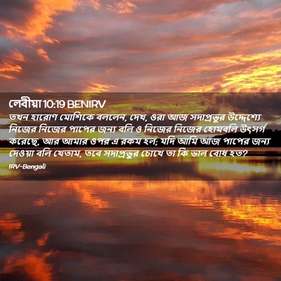 Picture 02 - লেবীয়া 10:19 BENIRV - তখন হারোণ মোশিকে - Bible Verse Picture