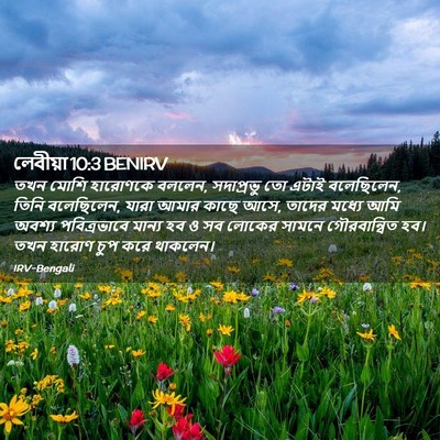 Picture 02 - লেবীয়া 10:3 BENIRV - তখন মোশি হারোণকে - Bible Verse Picture