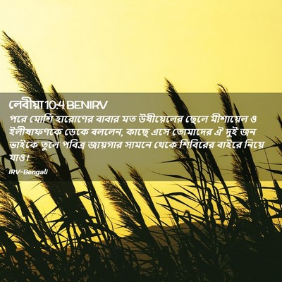 Picture 02 - লেবীয়া 10:4 BENIRV - পরে মোশি হারোণের - Bible Verse Picture